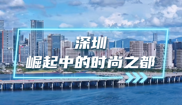 市工业和信息化局关于发布2024年时尚产业高质量发展扶持计划申请指南的通知