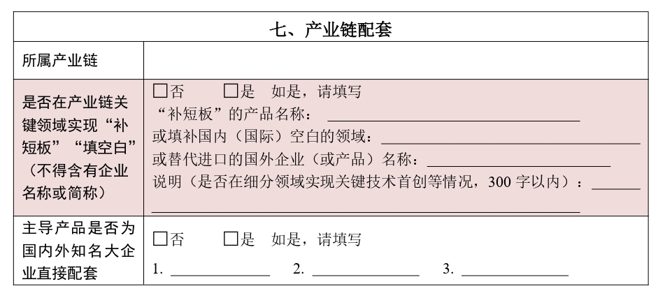 产业链专精特新“小巨人”企业申请书2